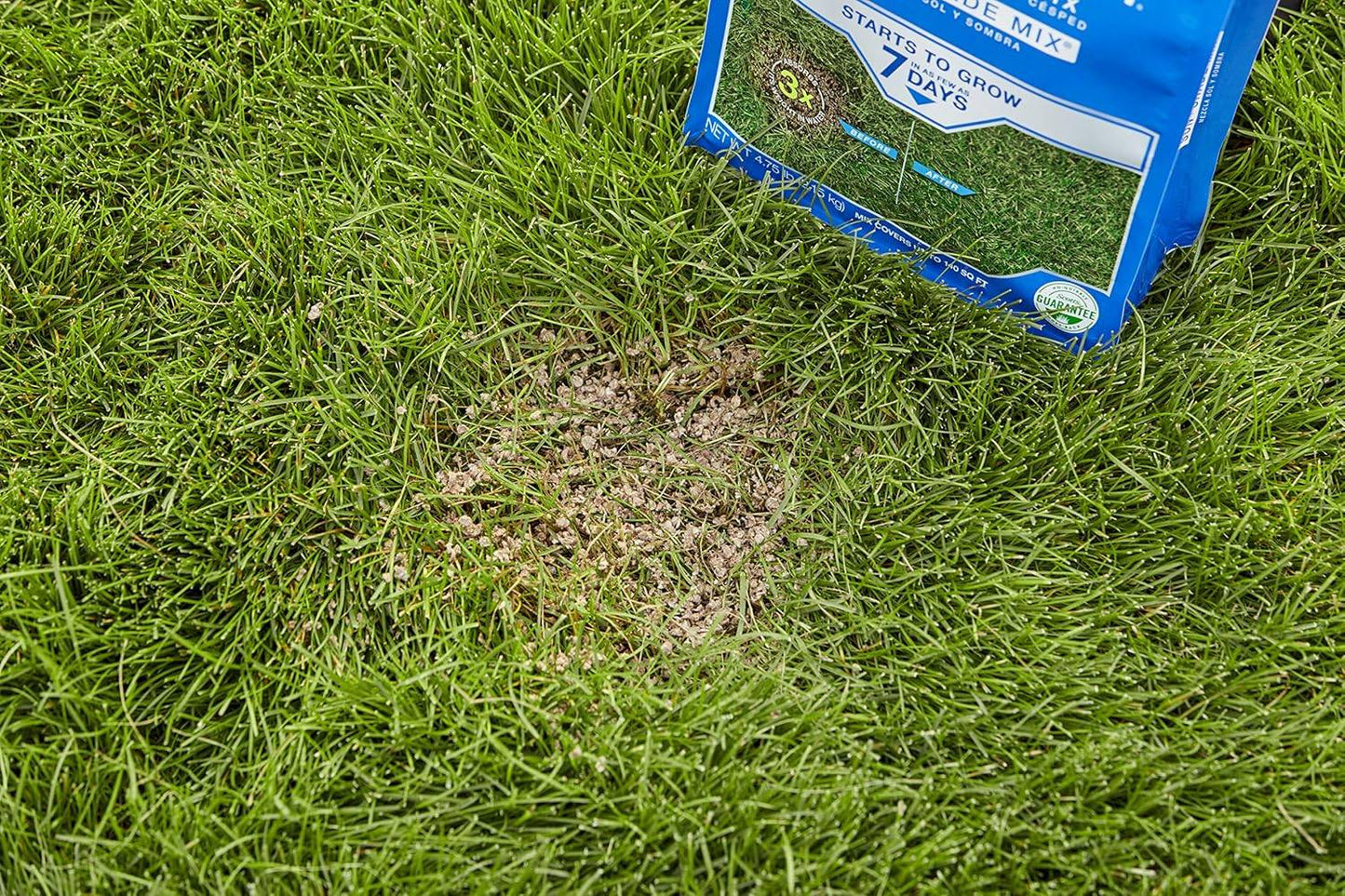Patchmaster Lawn Repair Mix Sun + Shade Mix, Combination Grass Seed, Fertilizer, and Mulch, 4.75 Lbs.