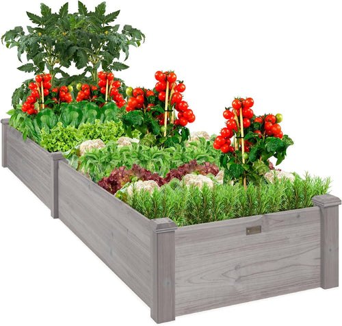 Gardening Tool & More