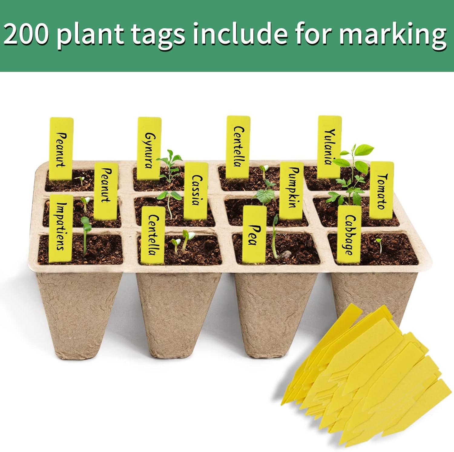 240 Cells Seed Starter Tray, 20 Pack Biodegradable Seed Starter Kit, Peat Pots for Seedlings with 200 Plant Labels, 2 Seed Planting Tool and 1 Spray Bottle