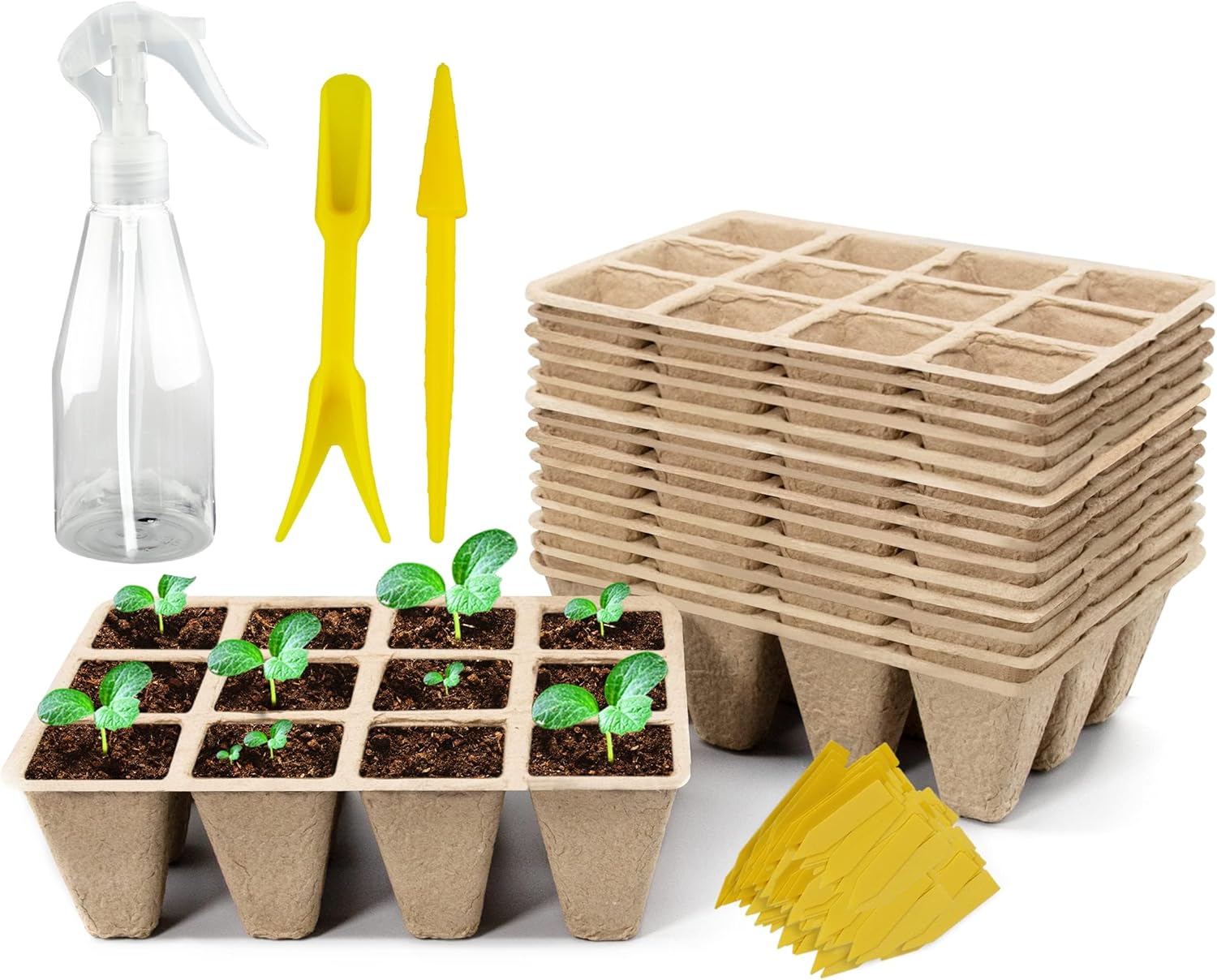 240 Cells Seed Starter Tray, 20 Pack Biodegradable Seed Starter Kit, Peat Pots for Seedlings with 200 Plant Labels, 2 Seed Planting Tool and 1 Spray Bottle