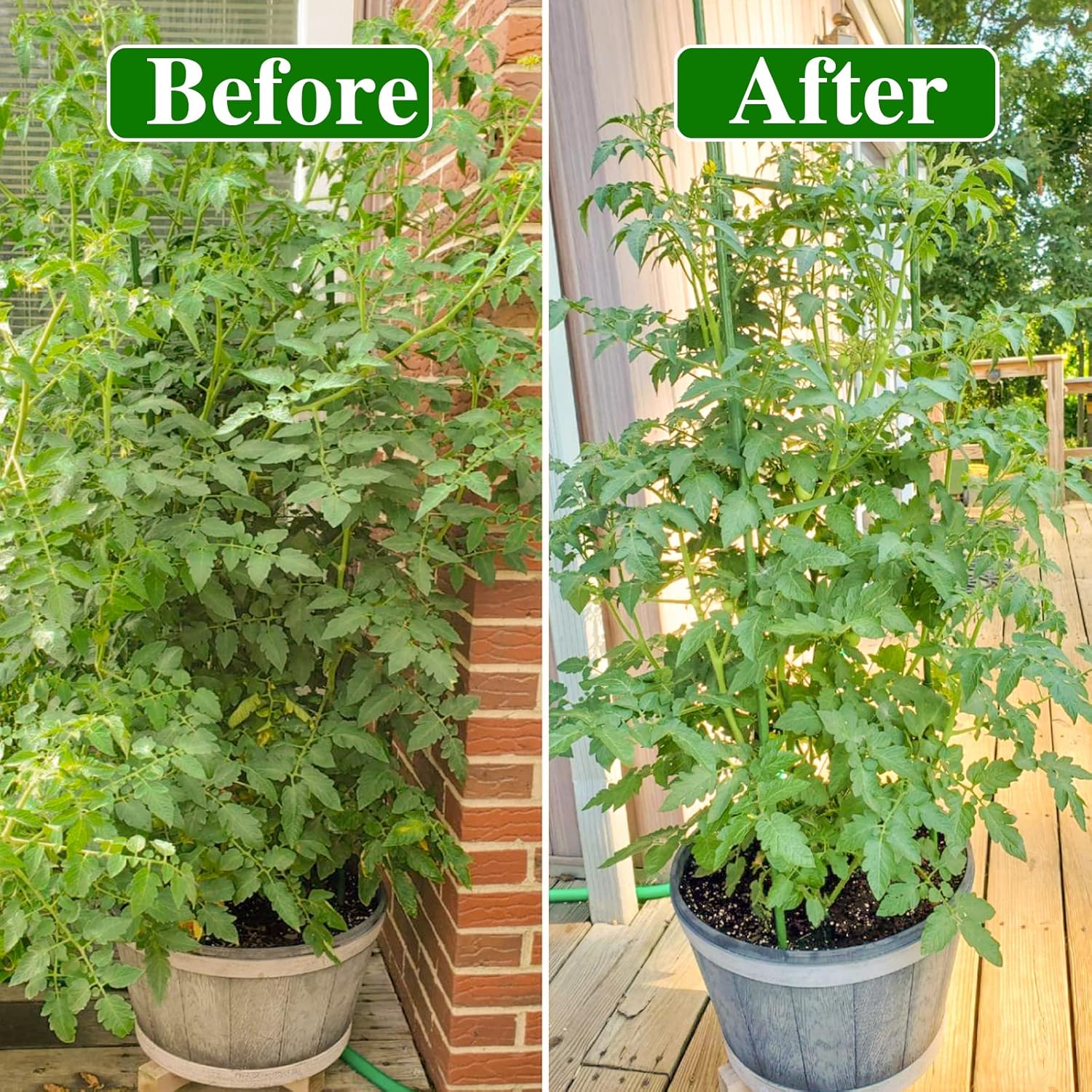 4 Packs Tomato Cage, up to 63Ln Tomato Trellis Expandable Tomato Cages for Garden Tomato Plant Stakes with 120 Twist Ties Tall Cages with Adiustable Snap-On Arms for Vegetables Flowers